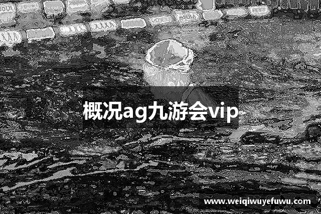 概况ag九游会vip